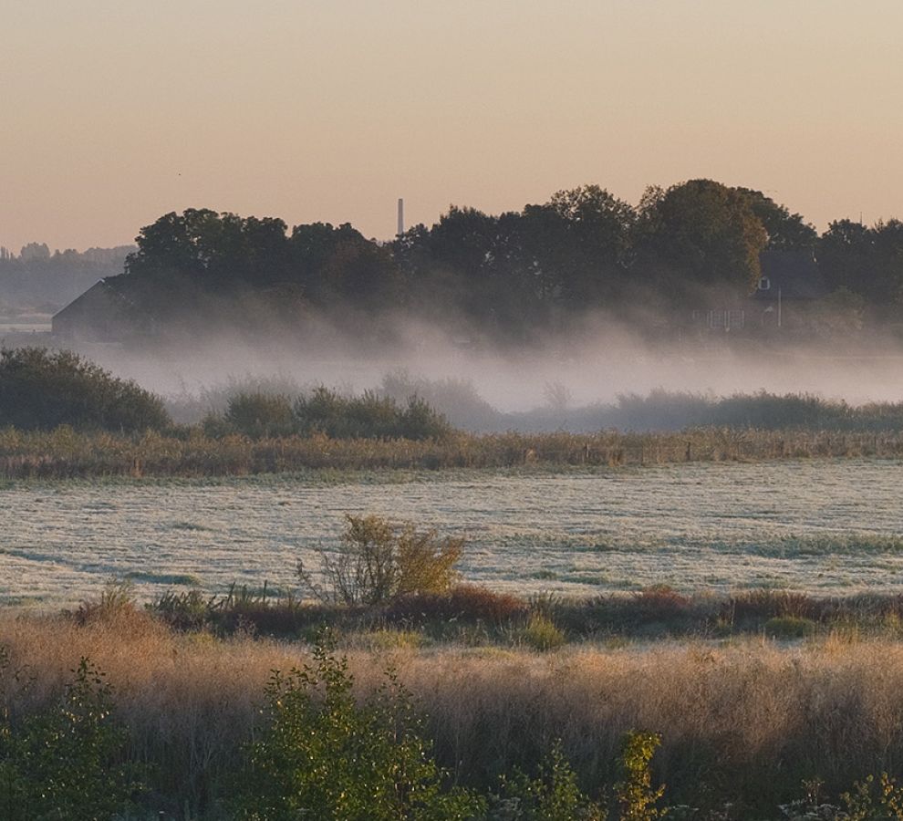 Heggenlandschap
