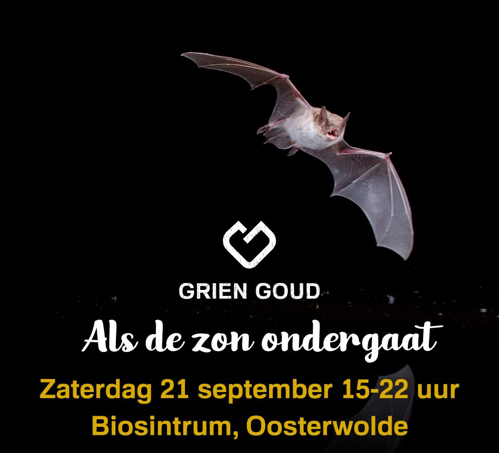 Grien Goud