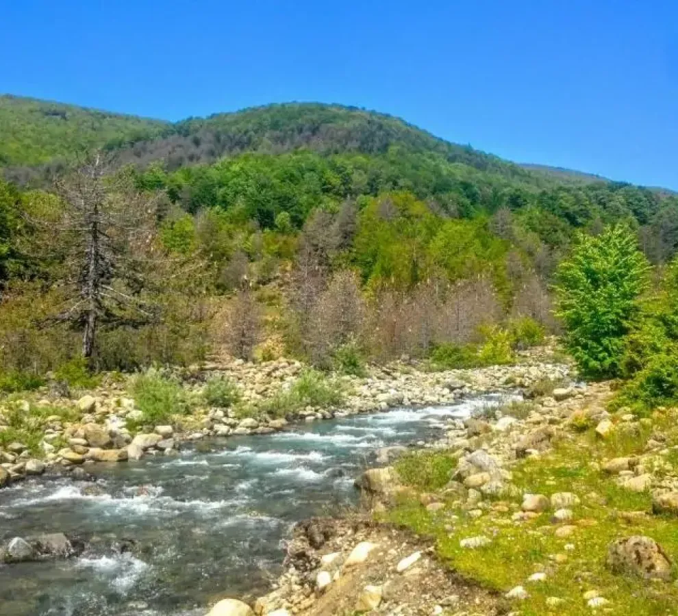 Albanië rivier Bushtrica