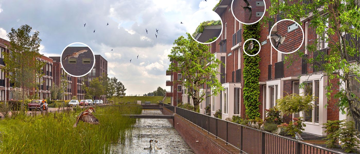 Natuurinclusief bouwen voor een aantrekkelijk leefomgeving