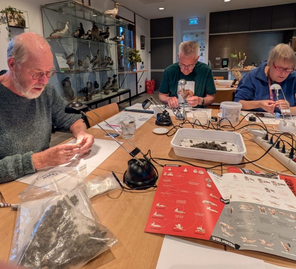 Braakbalpluismarathon (bron: Albert Roodink)